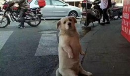 珠海爆料哥最新,揭秘珠海某神秘事件真相！